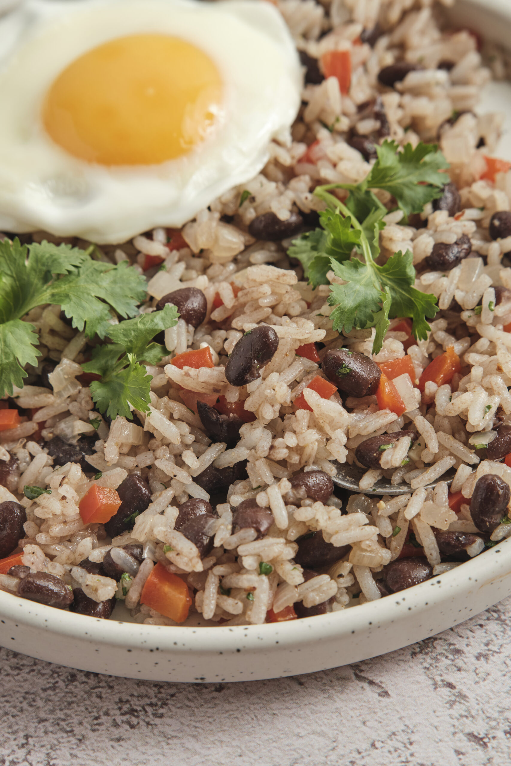Gallo Pinto - bakedbree