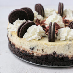 Oreo Cheesecake shot from the side