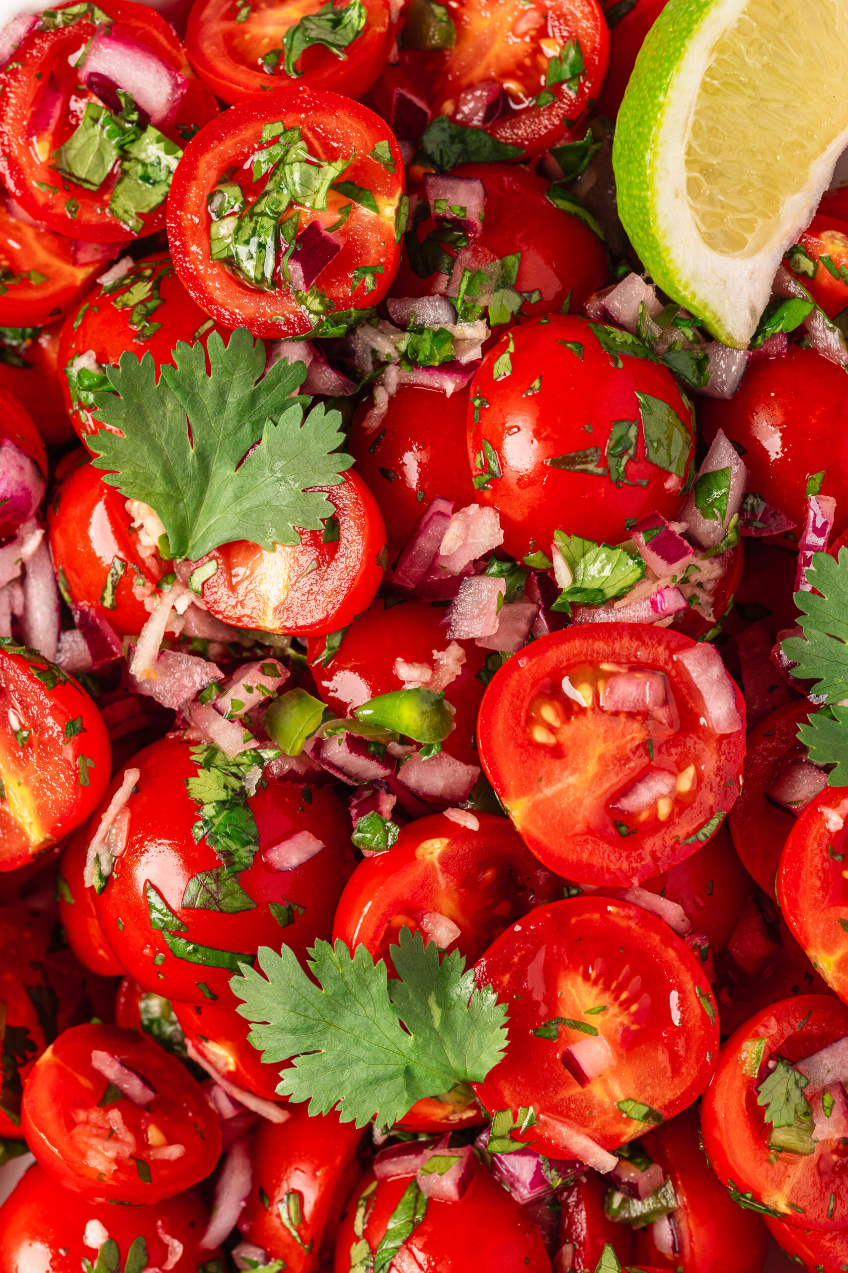 Cherry Tomato Salsa - bakedbree